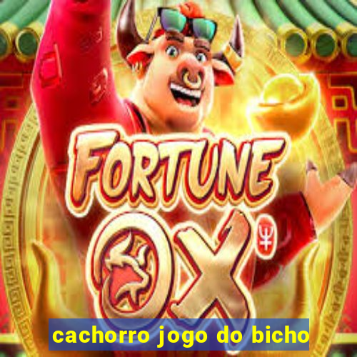 cachorro jogo do bicho